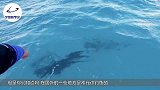 男子发现一艘破船，掀起来一看直言太好了，里面是什么好东西？