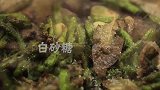 3道麻辣小菜，秋日暖胃驱寒！