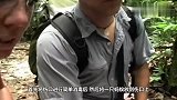 蚂蚁竟然可以缝合伤口，这蚂蚁到底有什么独特的技能？