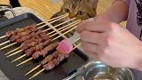 猫咪也爱上了撸串，一串一串停不下来了