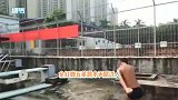 下一个全红婵全红婵五弟跳水天赋过人，身体条件优越被寄予厚望