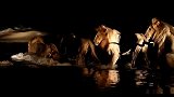 狮子深夜渡河，河水湍急、危机四伏，为了巡视领地，狮子真勇敢
