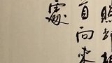 民间老先生练了大半辈子书法，真有出神入化的感觉，很有味道