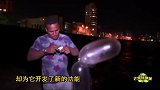 用安全套钓鱼，厉害了我的古巴人民