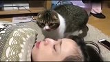 猫咪：听说睡美人要亲亲才会醒，这婆娘咋亲不醒呢想饿死劳资吗