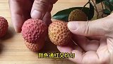 竟然还有人不会剥荔枝，这样剥不脏手不流汁，一秒一个