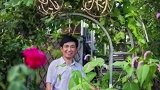 北京二环有一位65岁的普通退休大叔在这里拥有一座“空中花园”超出你想象的惬意。我家有菠萝  南方农村报