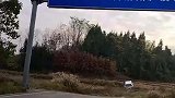 刚出县就没有公路了，前面还停了一辆车，笑死我了