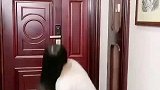 假装晕倒吓到老公了