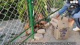 猴子只喜欢拿饮料，箱子里还有很多饼干，真是不识货呀