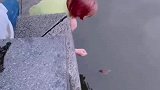女生游玩西湖时意外捕获乌龟，怒喊放生员工