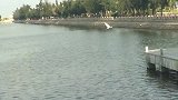 真心真意把你陪。