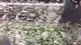 无愧世界第一德比！博卡VS河床震撼氛围 糖果盒球场纸片飞舞