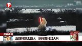 后期特效太强大 瞬间变科幻大片