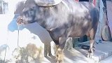 算你小子躲过一劫
