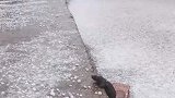 冰雹有大拇指大，跑到路面20分钟就完了