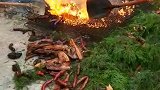 熏腊肉，结果失火了，可惜香肠了！