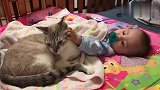 宝宝和喵星人第一次见面,宝宝喜欢猫的手感,而猫喜欢宝宝的口感