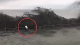 用生命摄影！小哥钱塘江近距离观潮 被3米高浪潮拍倒险被卷走