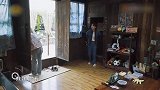 杨紫担心张艺兴腰伤，张艺兴拍照头歪向杨紫，两人暗戳戳双向奔赴