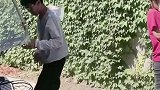 今天碰个讲究人。