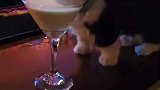 猫咪在酒吧喝酒，这一看就是酒吧的常客了啊