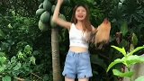 表妹大姨你养的鸡把你的木瓜都啄烂了