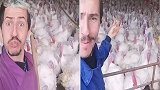 西班牙：一呼百应！一农民分享养殖场数百只火鸡模仿自己“说话”