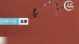 附近居民：啄木鸟大约15分钟啄一个洞，造型像“大雁南飞”。居民表示担心日久会影响安全啄木鸟