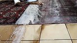 价值10000美金的地毯，循环冲洗后，终于露出真面目了！