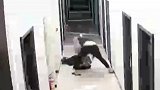 深圳一女子被男友从家里打到楼道 警方：男子系分局民警 已被停