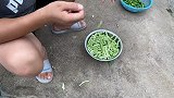 生活的味道，家常小炒，吃的一身都是水很过瘾
