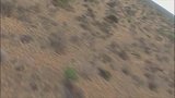 野生动物与人类的界限似乎消失，狒狒在种植地里卖力的抛着