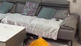 女子与丈夫日常吵架拌嘴