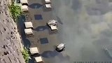 水浅鱼多，这句话真没错，这一幕就是证据-