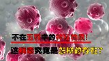 比地球还古老！不在五界系统中！病毒究竟是何方神圣？