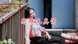 云南民间山歌剧《患难见真情》第十二集