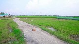 以后出门得看好黄历