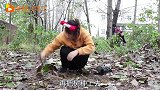 秘密4：师生为了帮助胖妞，把粘土树上挂满了玩具，胖妞会感动吗