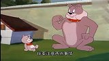 狗爸爸在教授儿子，如何成为一名合格的狗