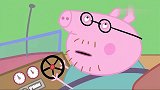 小猪佩奇：孩子真幸福，和猪爸在一起，却能听到伯伯的笑话！