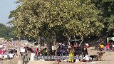 水沟里经常发出奇怪声响，村民抽出水后，发现两个大家伙