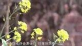男子抛妻弃子几十年，一回乡就要女儿养老，真是恬不知耻！