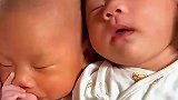 双胞胎宝宝成长记