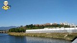 北京沙河鸽子市场，鸽子好多，种类更多，关键是鸽子好价格还不贵