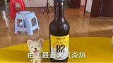 能喝酒都喝酒，把水留给不会喝酒的人吧