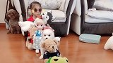 主人陪狗狗玩捉迷藏游戏，乖巧的藏在毛绒玩具里面，一动不动非常