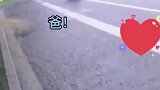 看到女儿冒雨给自己送伞，父亲眼神从惊喜到责备