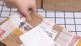 快看看我给寄居蟹都入了什么吧！寄居蟹下午就可以入住啦！