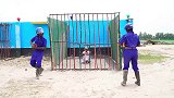 就你们几个还想抓住我，我可是越狱小能手